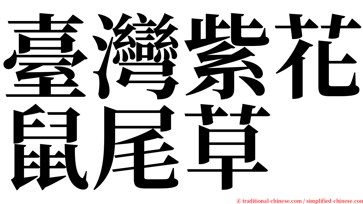 臺灣紫花鼠尾草 serif font