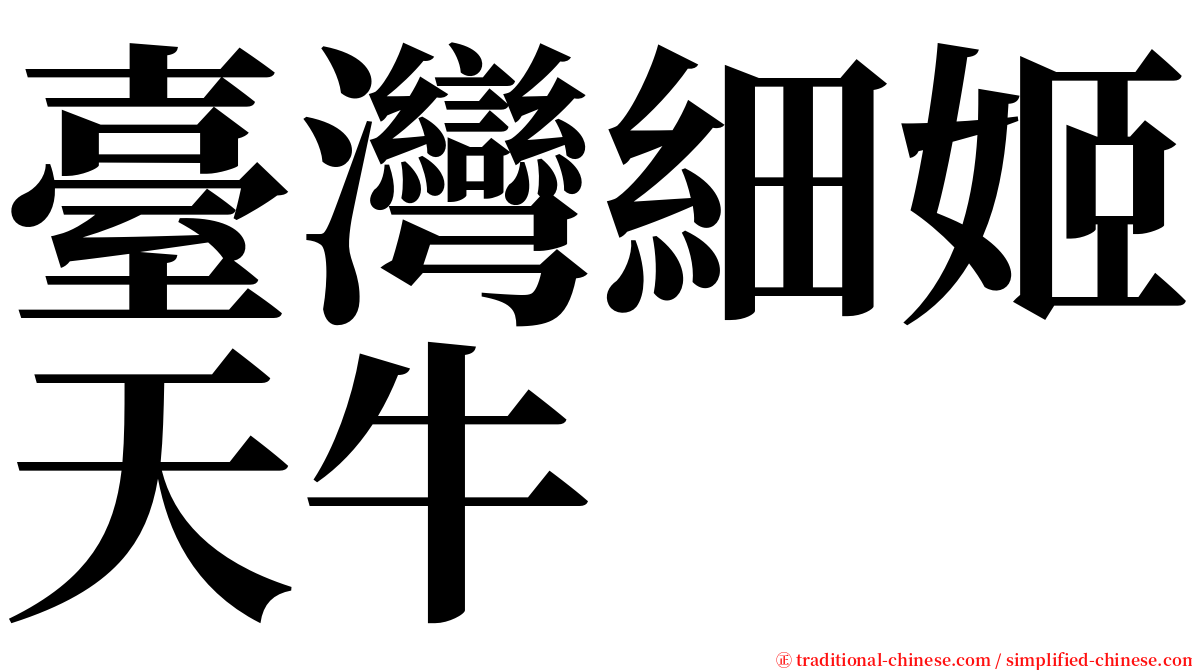 臺灣細姬天牛 serif font