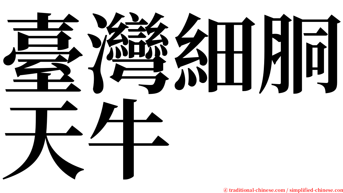 臺灣細胴天牛 serif font