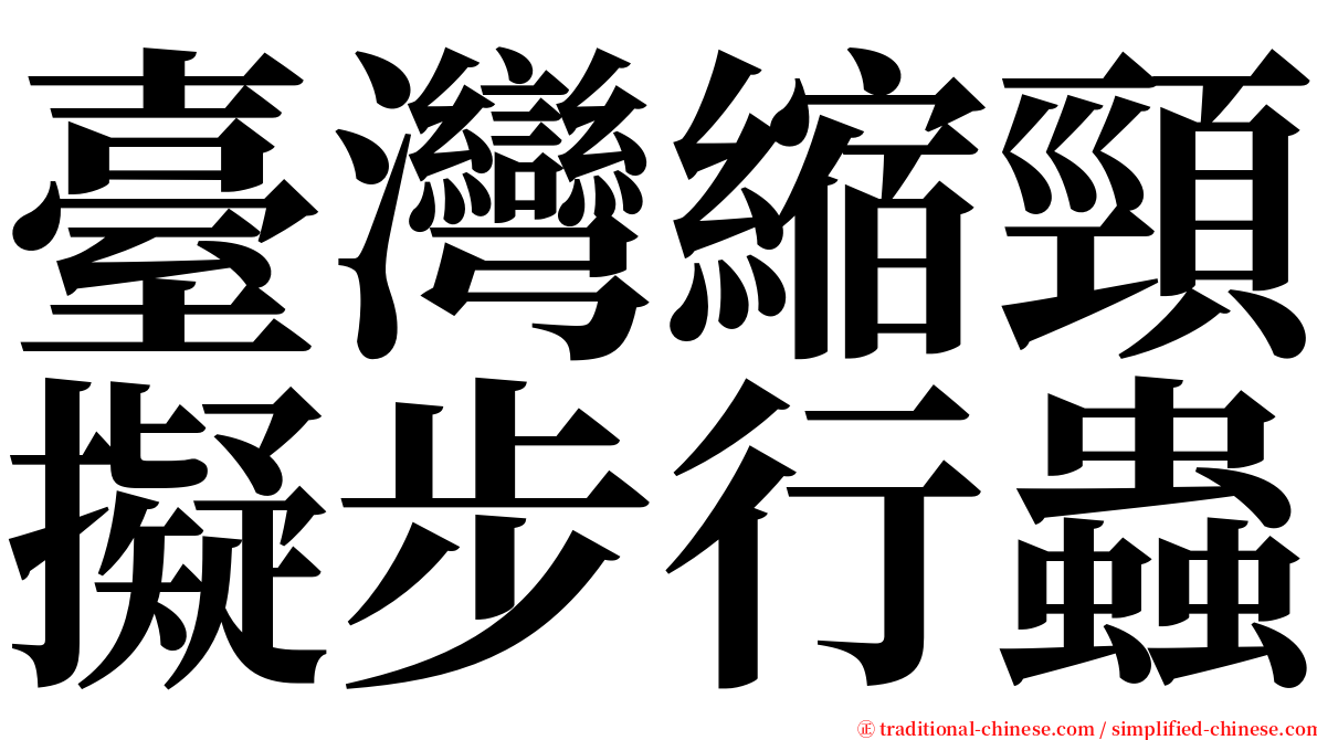 臺灣縮頸擬步行蟲 serif font