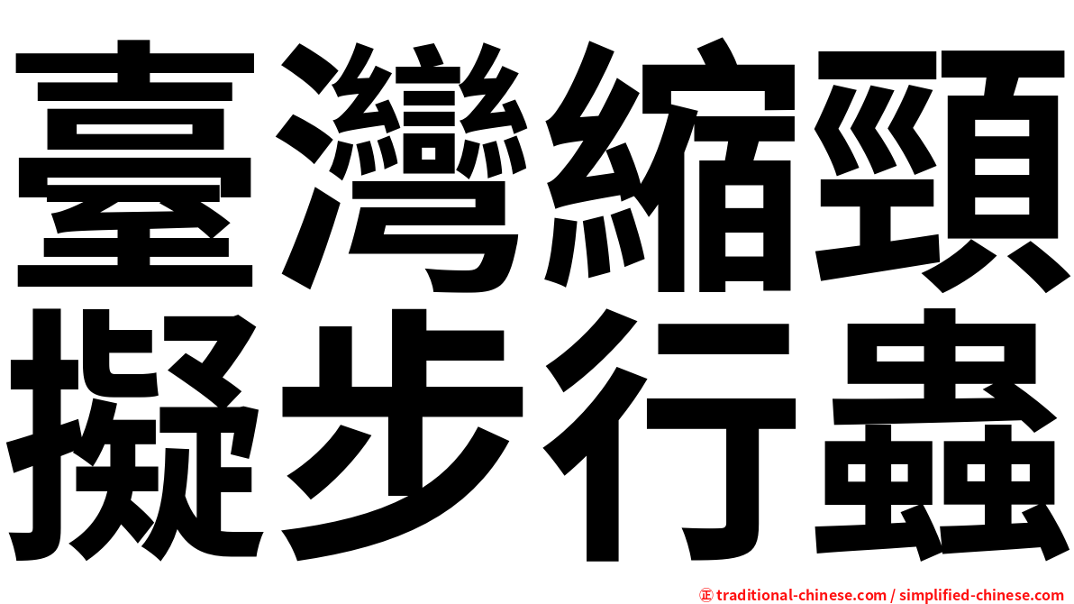 臺灣縮頸擬步行蟲