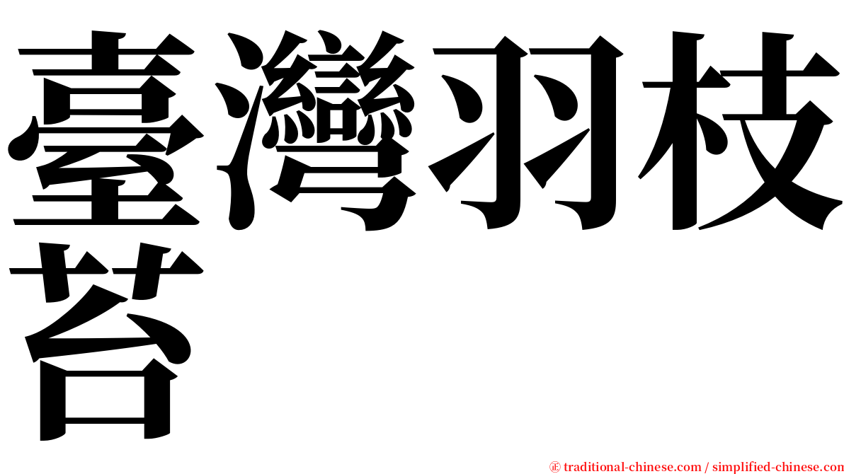 臺灣羽枝苔 serif font