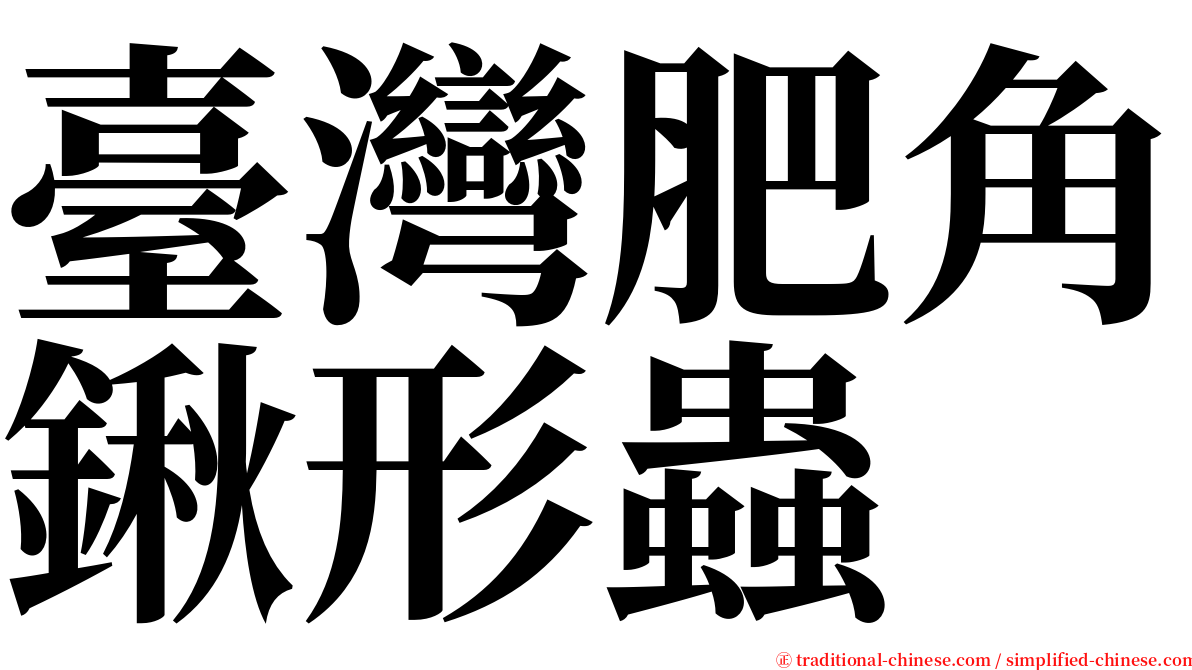 臺灣肥角鍬形蟲 serif font