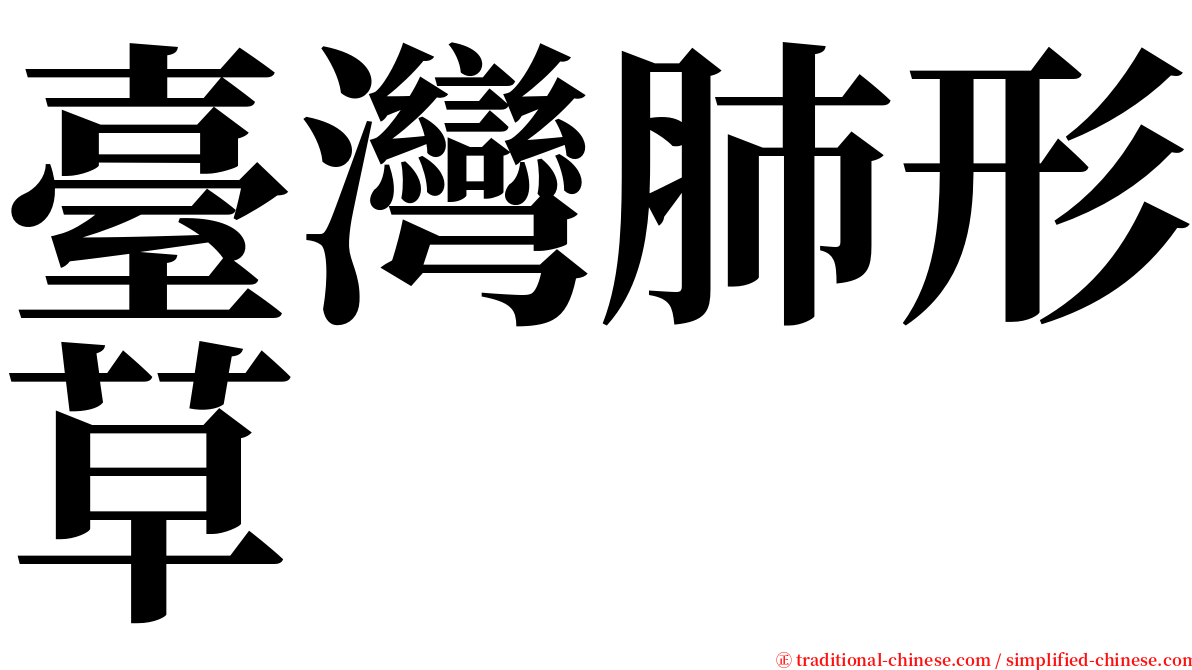 臺灣肺形草 serif font