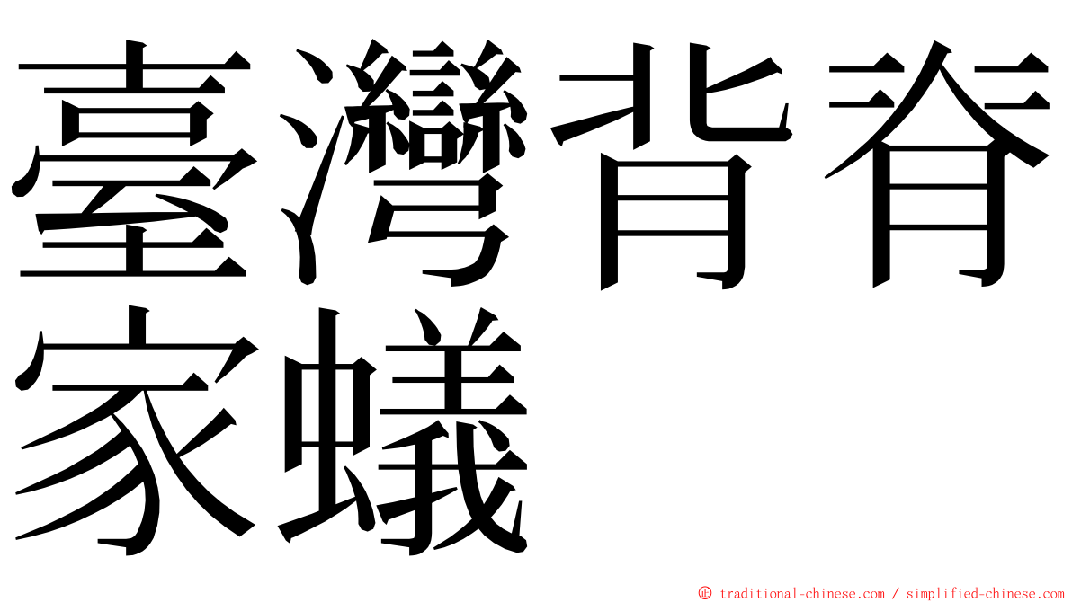 臺灣背脊家蟻 ming font