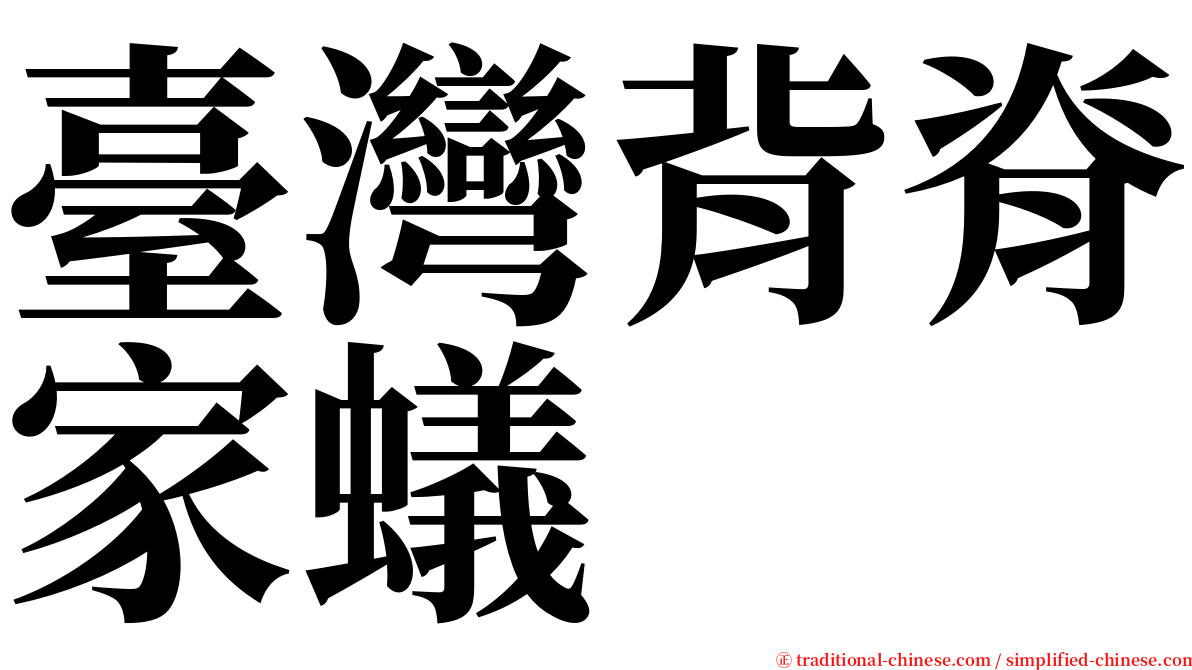 臺灣背脊家蟻 serif font