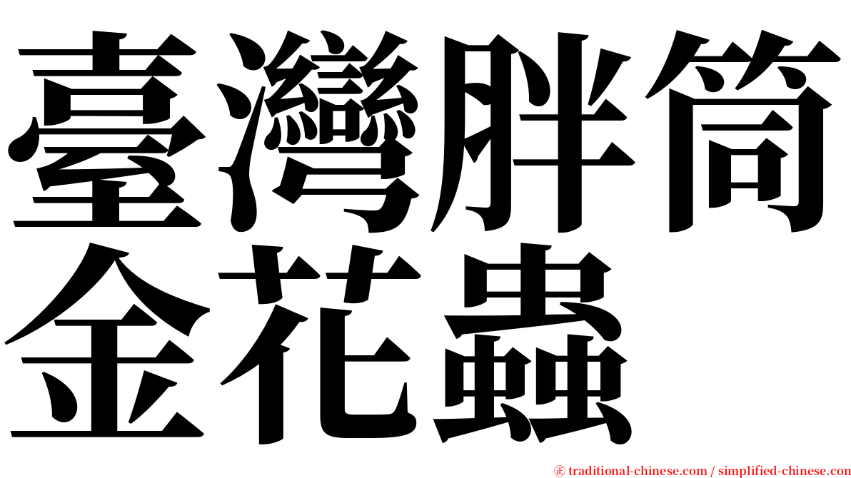 臺灣胖筒金花蟲 serif font