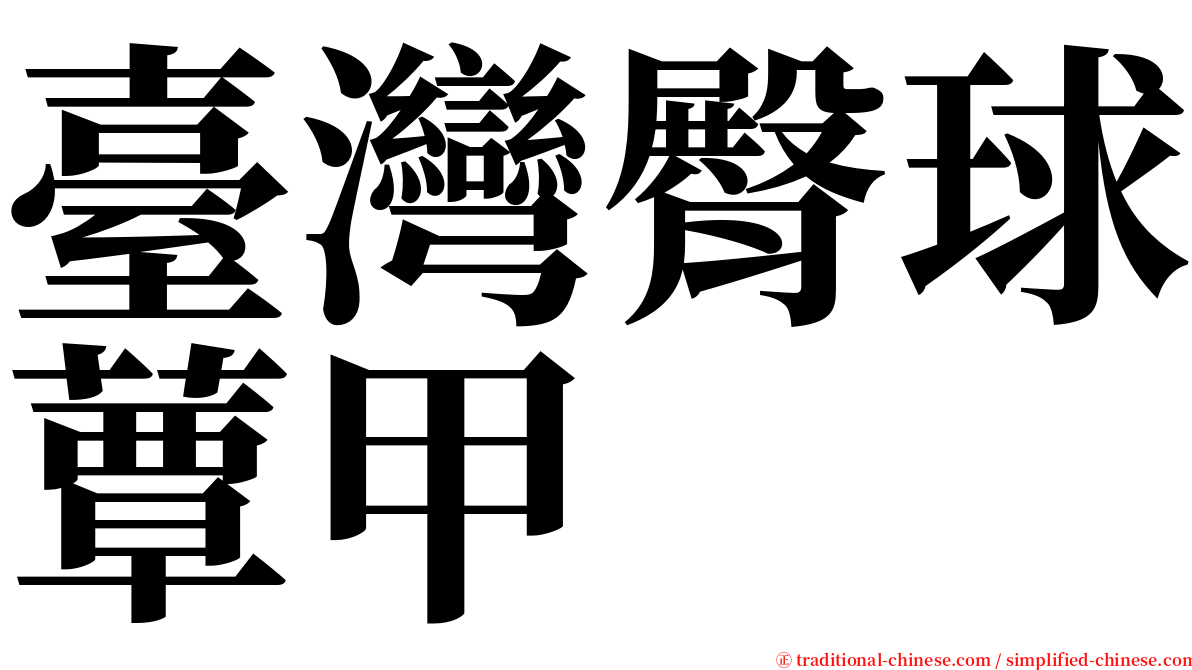 臺灣臀球蕈甲 serif font