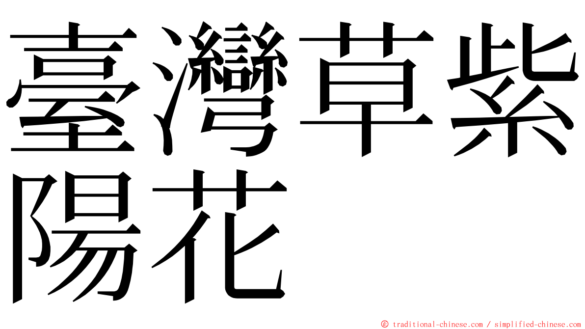 臺灣草紫陽花 ming font