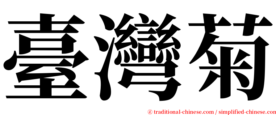 臺灣菊 serif font