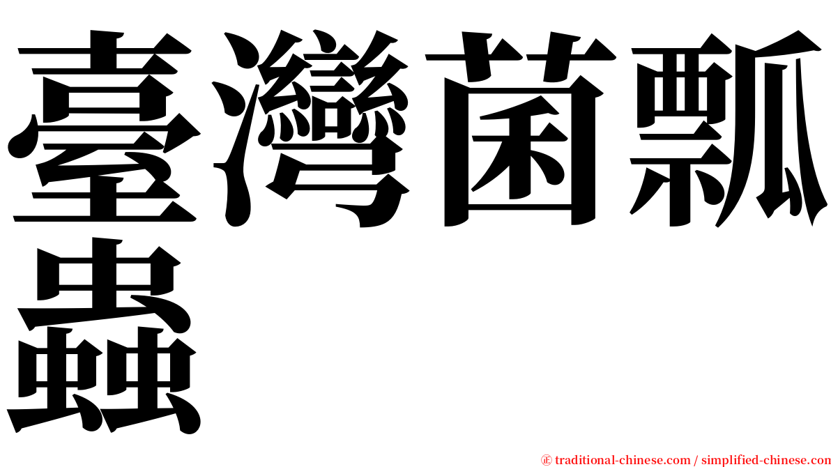 臺灣菌瓢蟲 serif font