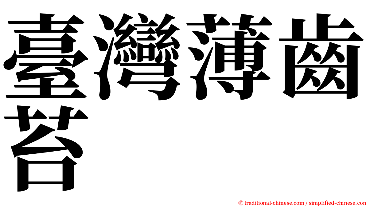 臺灣薄齒苔 serif font