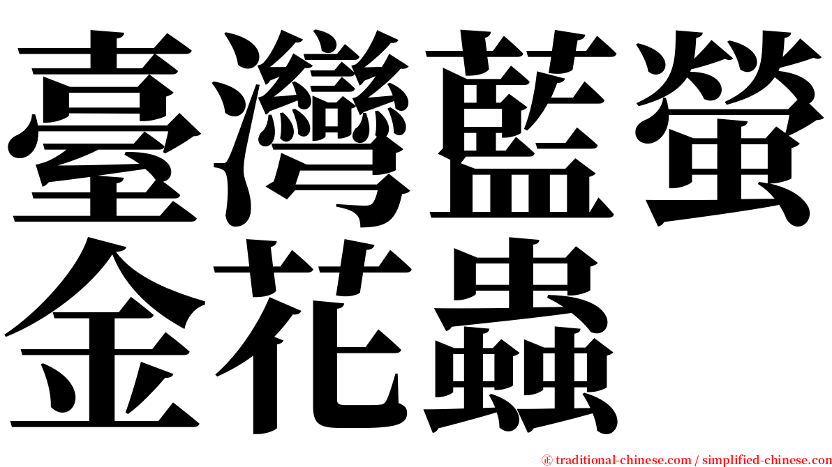 臺灣藍螢金花蟲 serif font