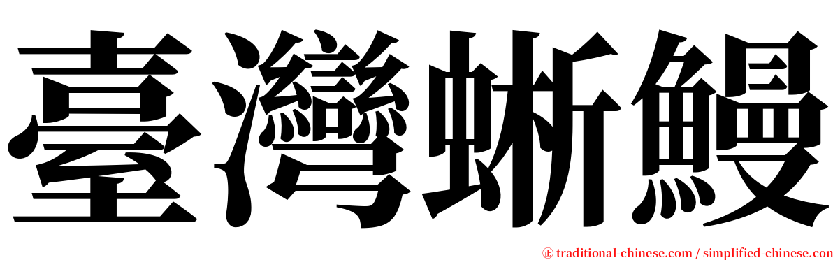 臺灣蜥鰻 serif font