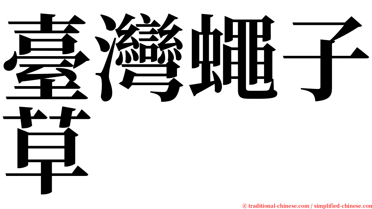 臺灣蠅子草 serif font