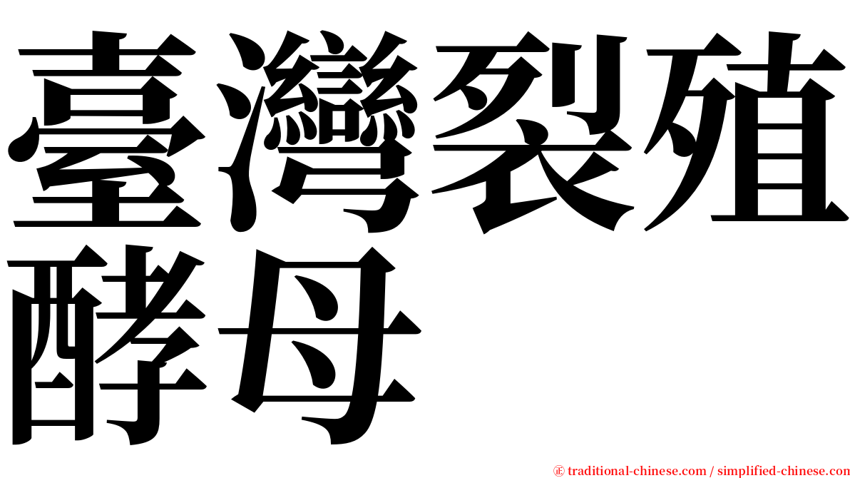 臺灣裂殖酵母 serif font