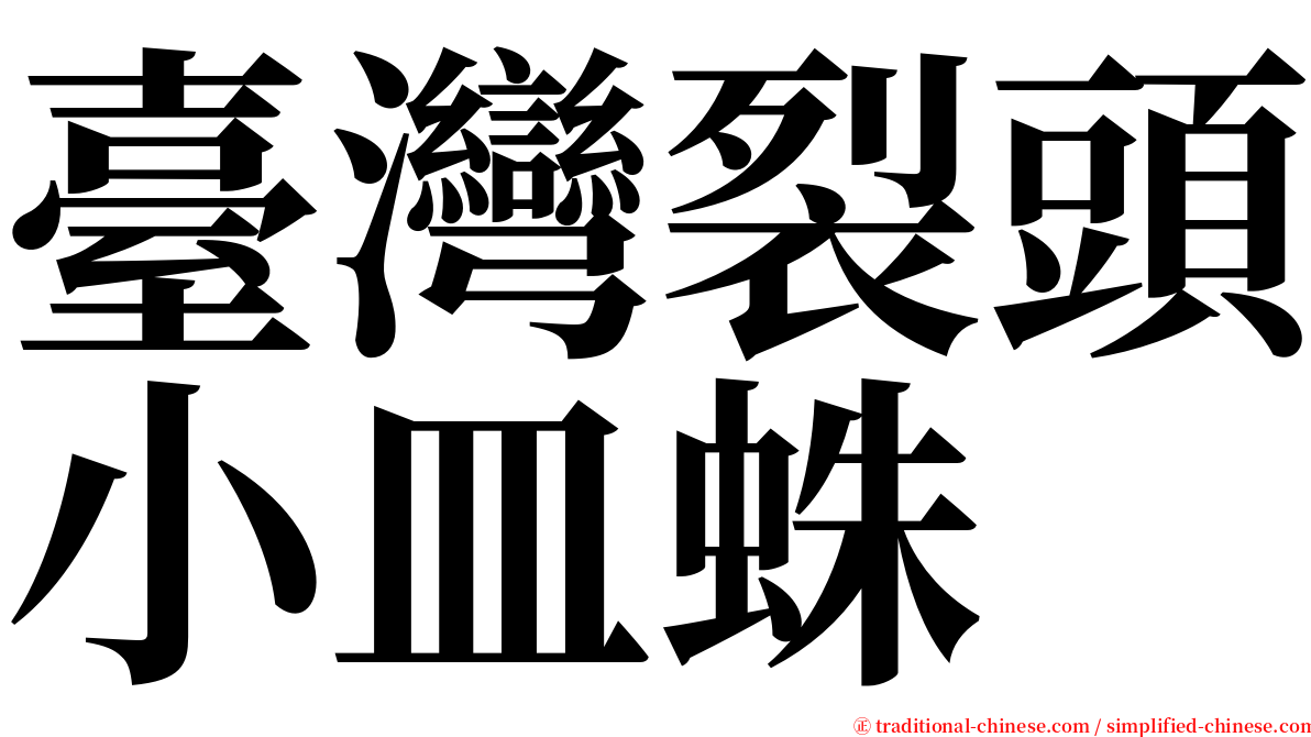 臺灣裂頭小皿蛛 serif font