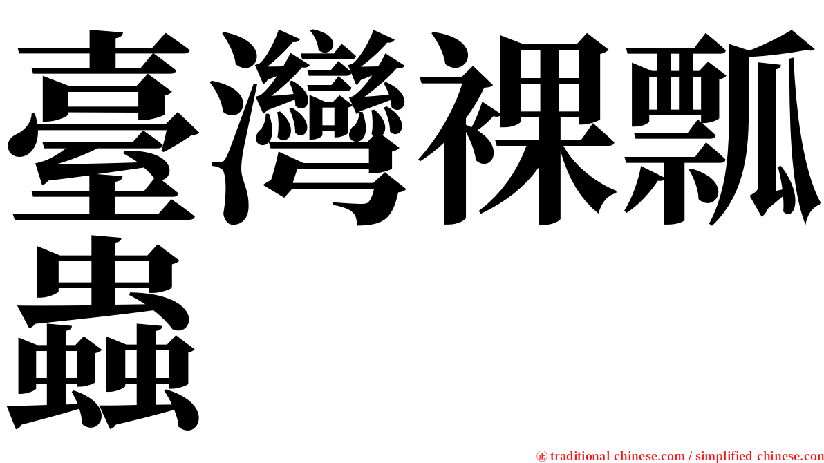 臺灣裸瓢蟲 serif font