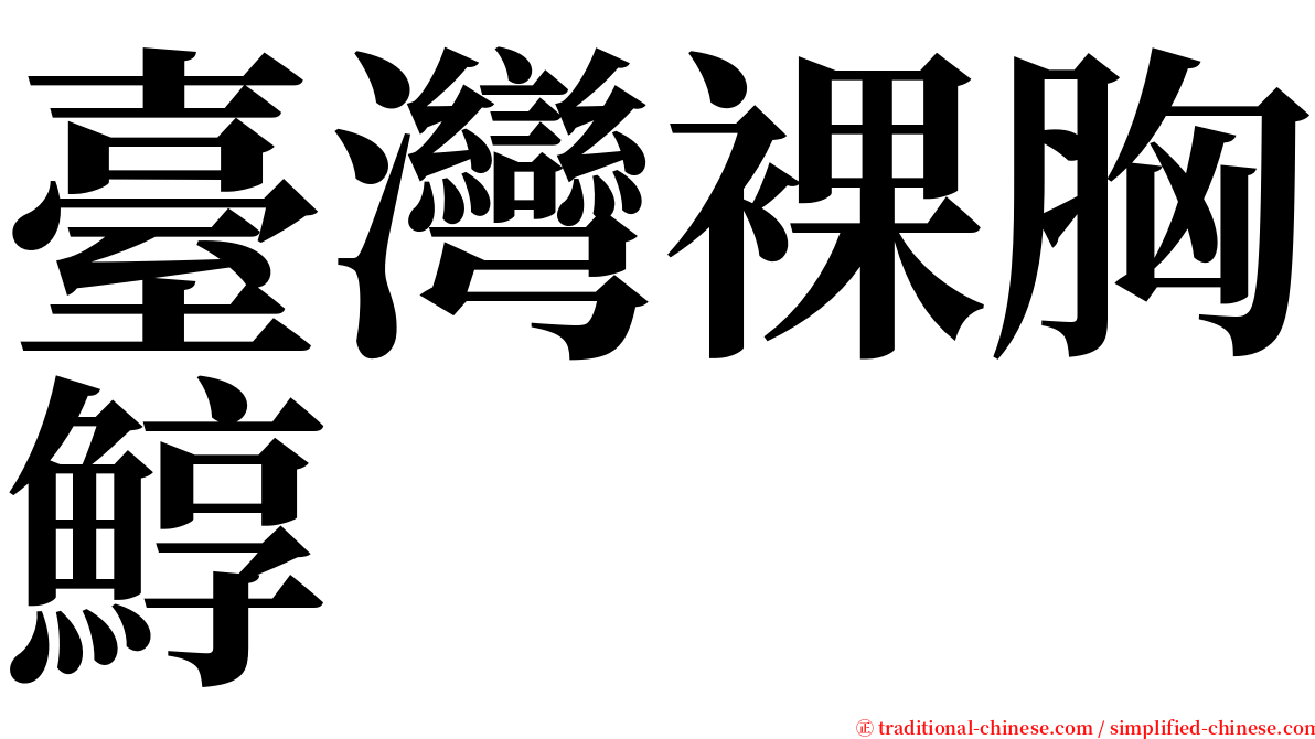 臺灣裸胸鯙 serif font