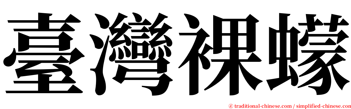 臺灣裸蠓 serif font