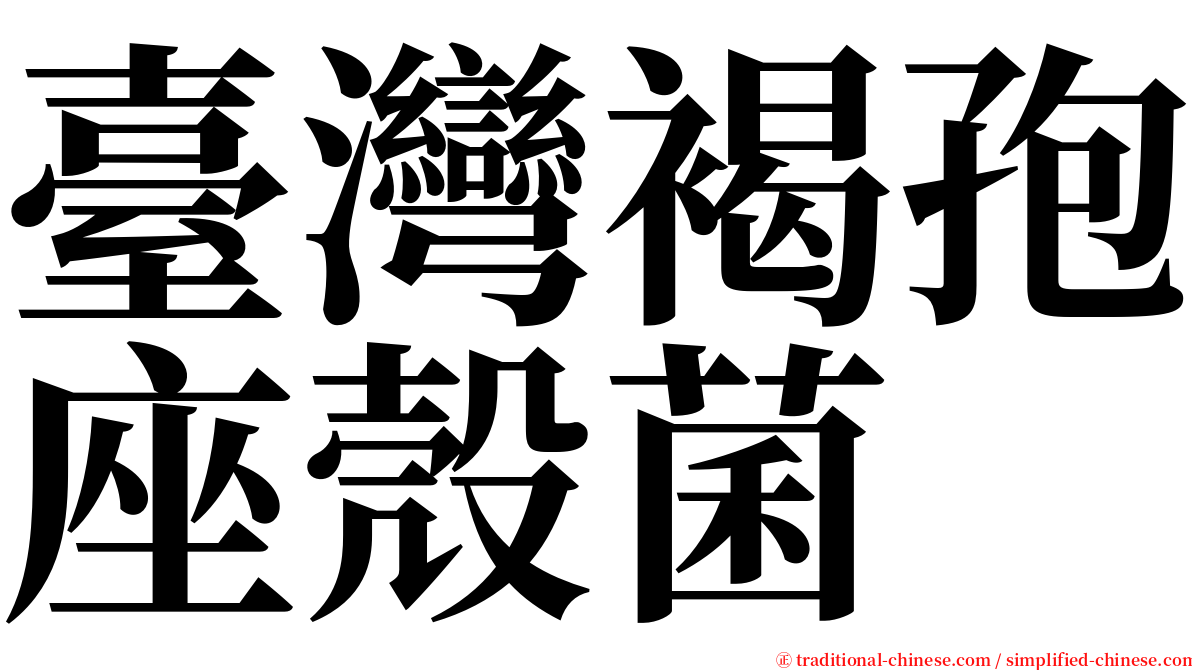 臺灣褐孢座殼菌 serif font