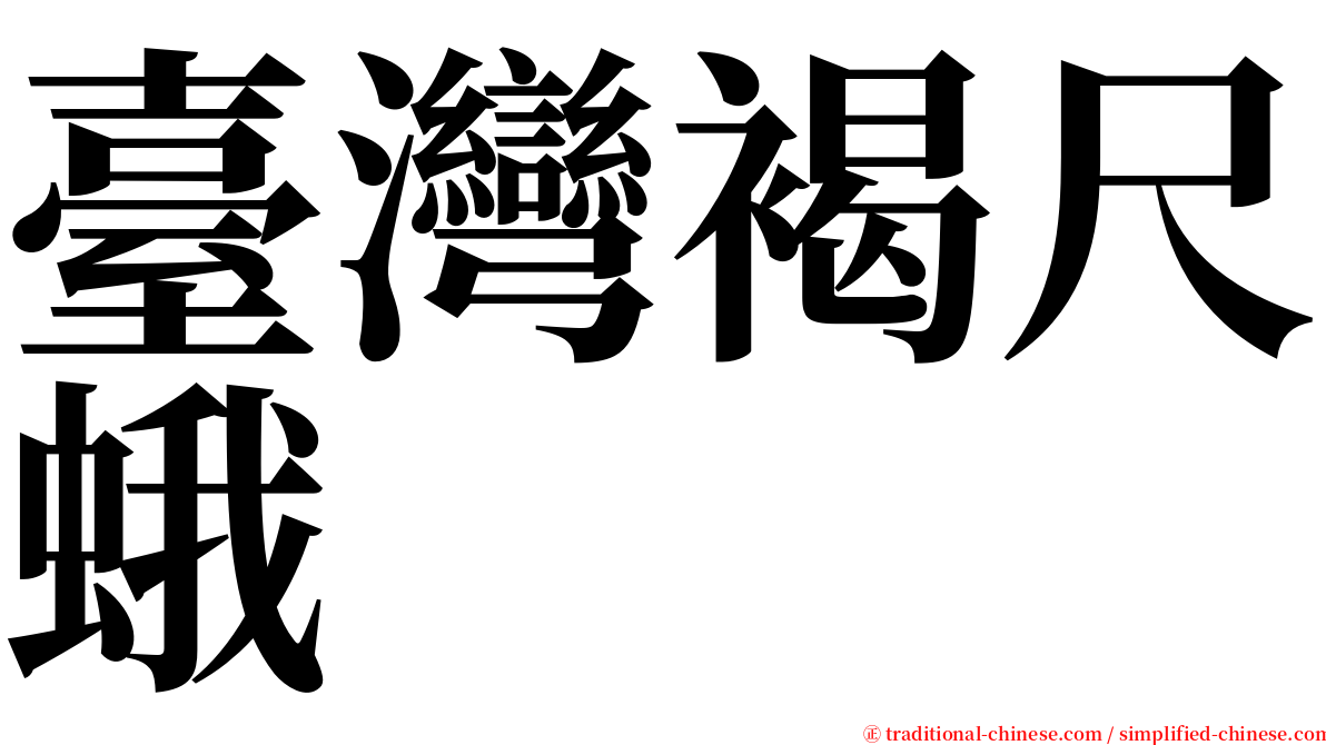 臺灣褐尺蛾 serif font