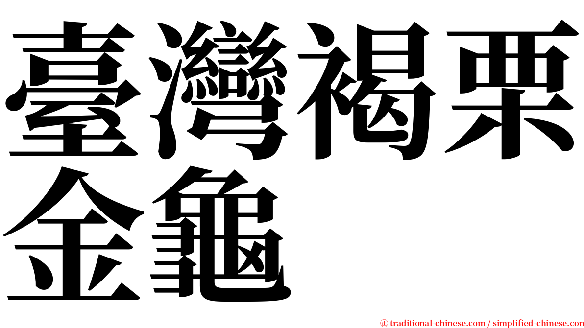 臺灣褐栗金龜 serif font