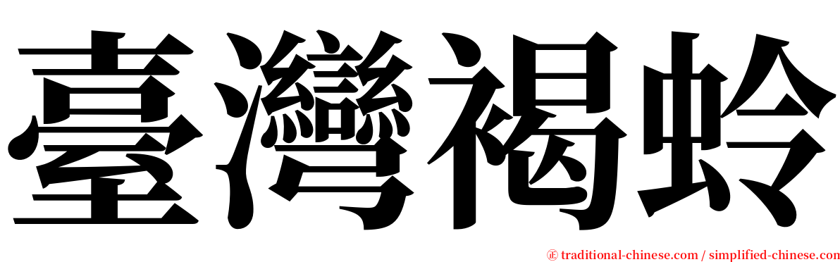 臺灣褐蛉 serif font