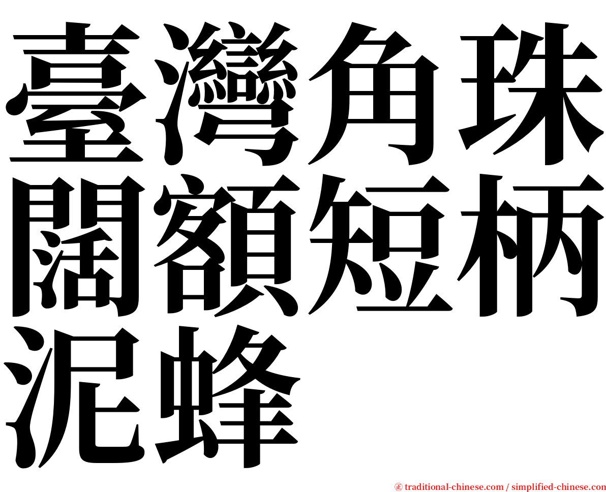 臺灣角珠闊額短柄泥蜂 serif font