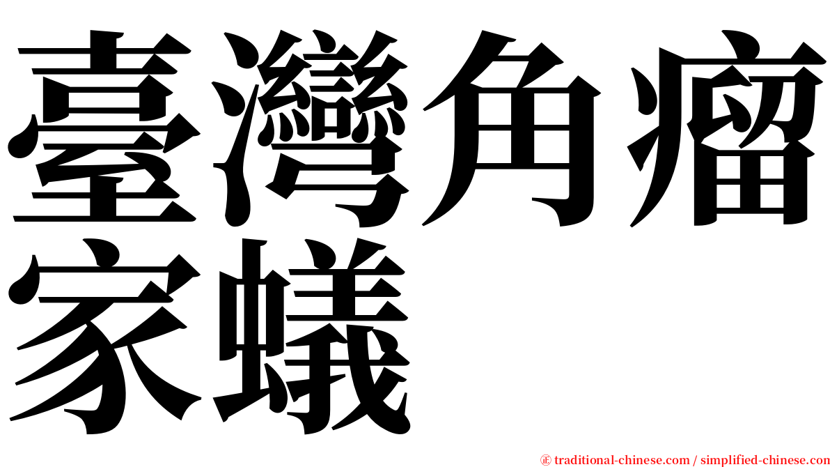 臺灣角瘤家蟻 serif font