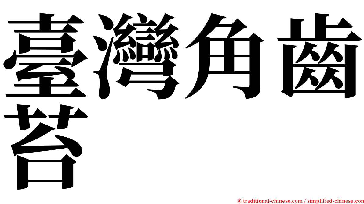 臺灣角齒苔 serif font