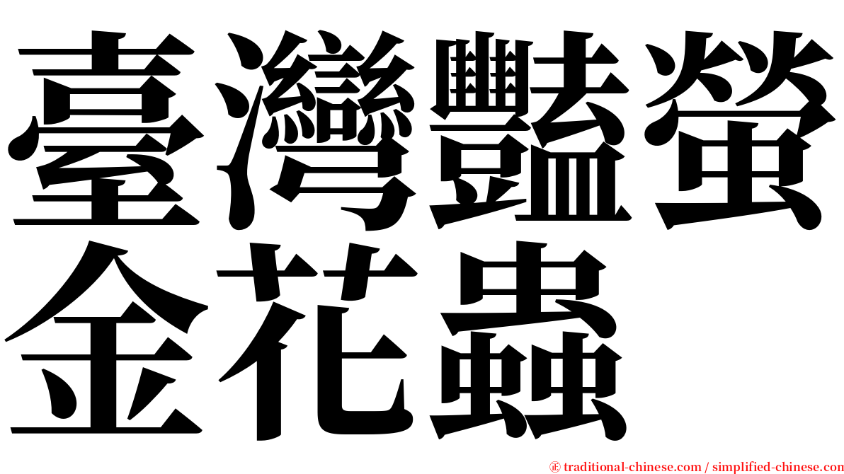臺灣豔螢金花蟲 serif font