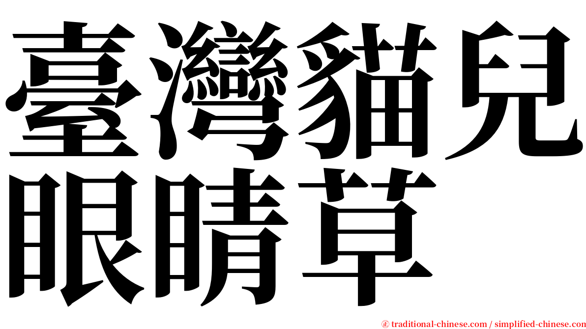 臺灣貓兒眼睛草 serif font
