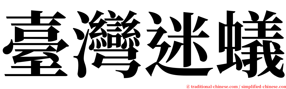 臺灣迷蟻 serif font