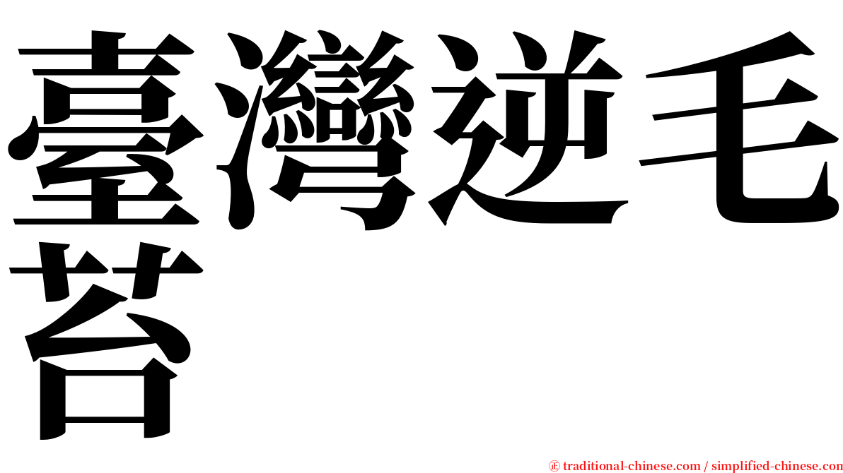 臺灣逆毛苔 serif font