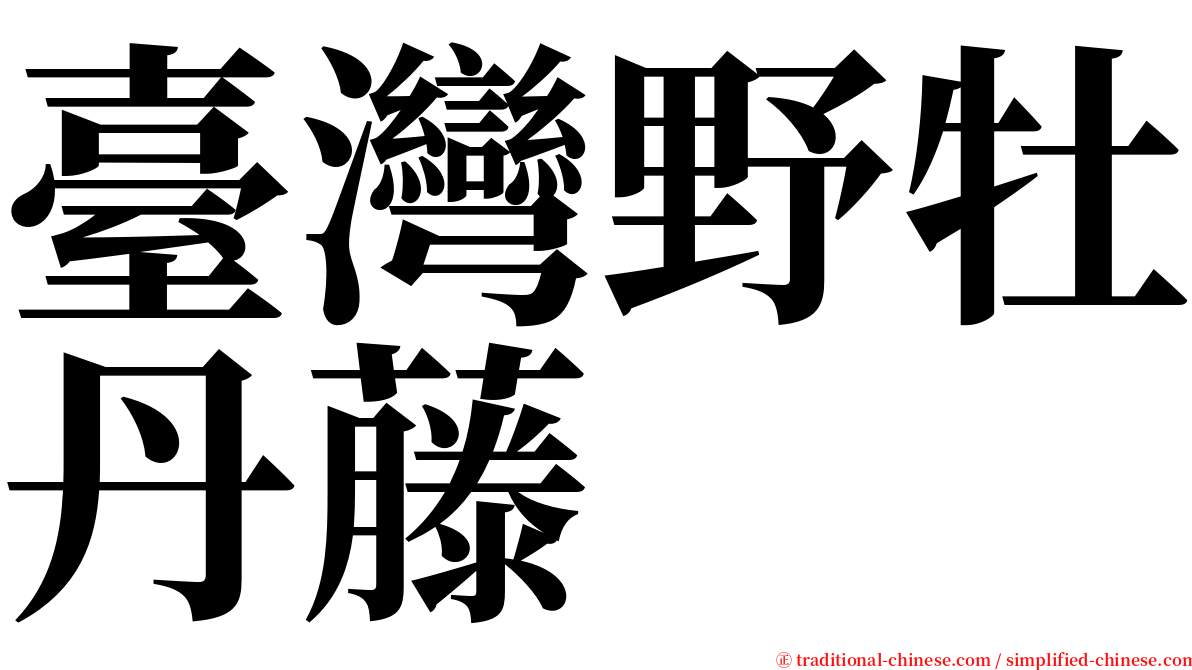 臺灣野牡丹藤 serif font