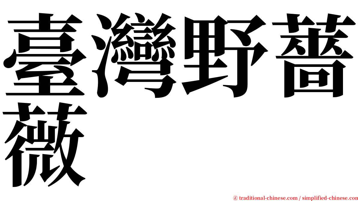 臺灣野薔薇 serif font