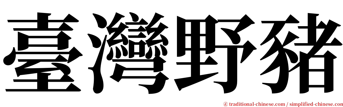 臺灣野豬 serif font