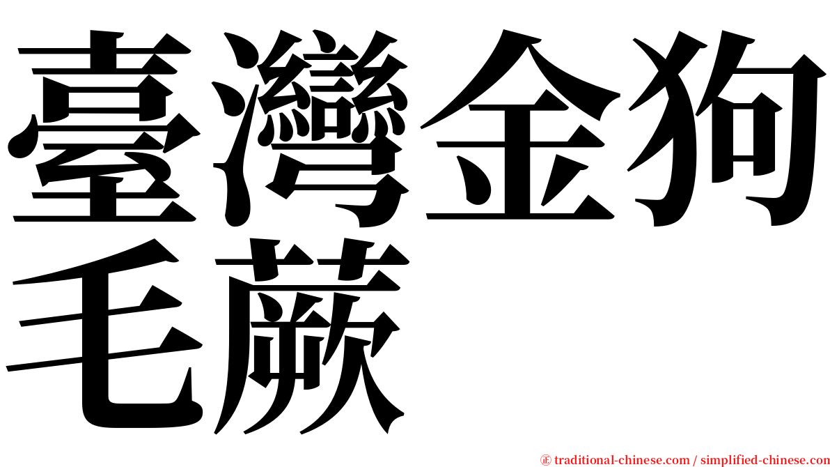 臺灣金狗毛蕨 serif font