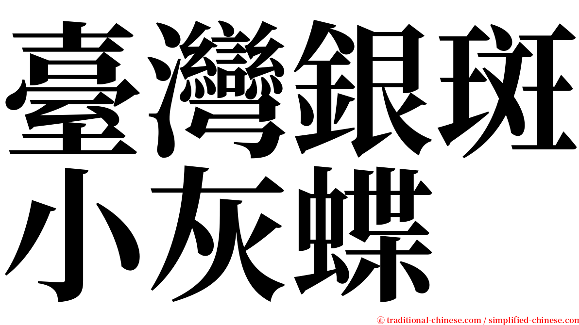 臺灣銀斑小灰蝶 serif font