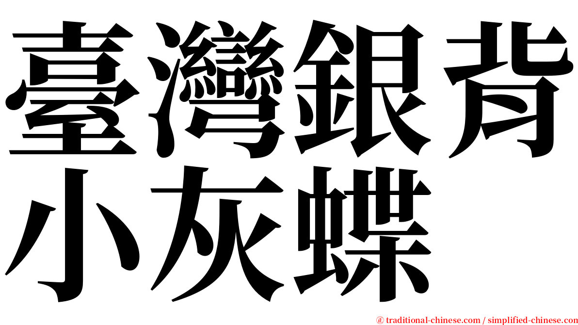 臺灣銀背小灰蝶 serif font