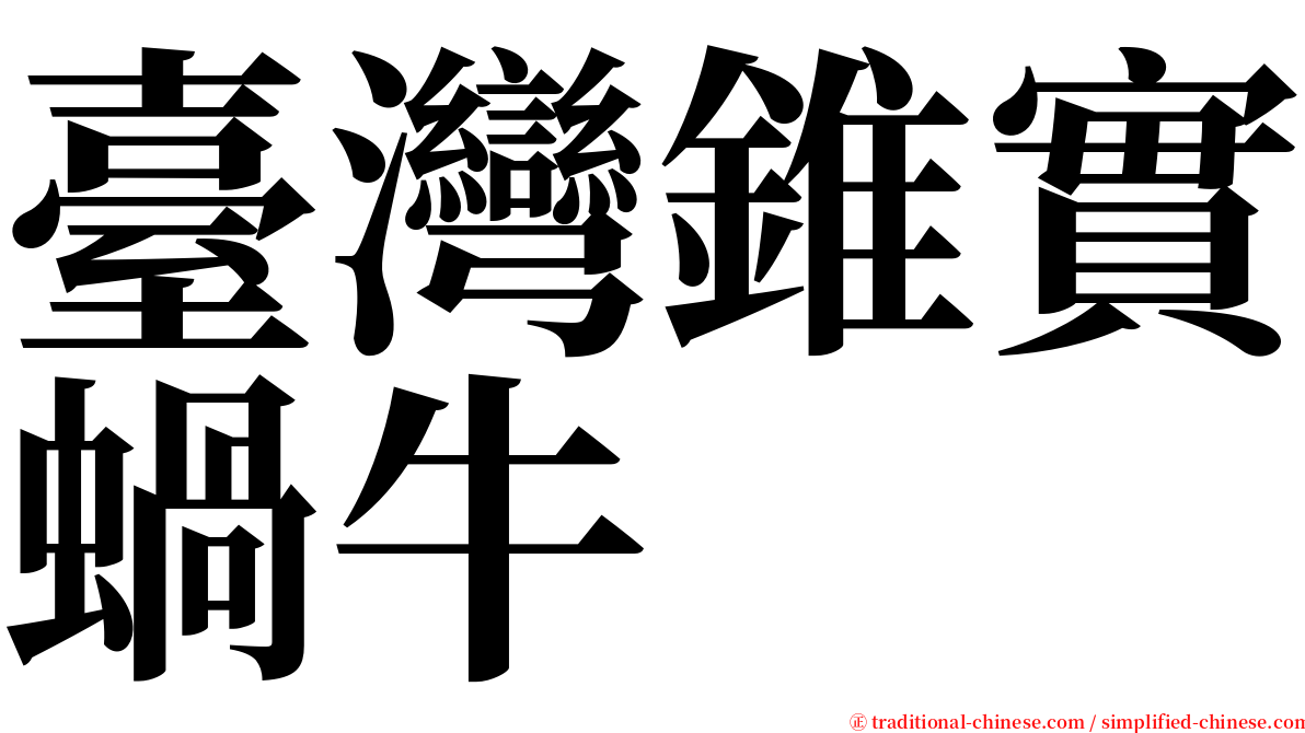 臺灣錐實蝸牛 serif font