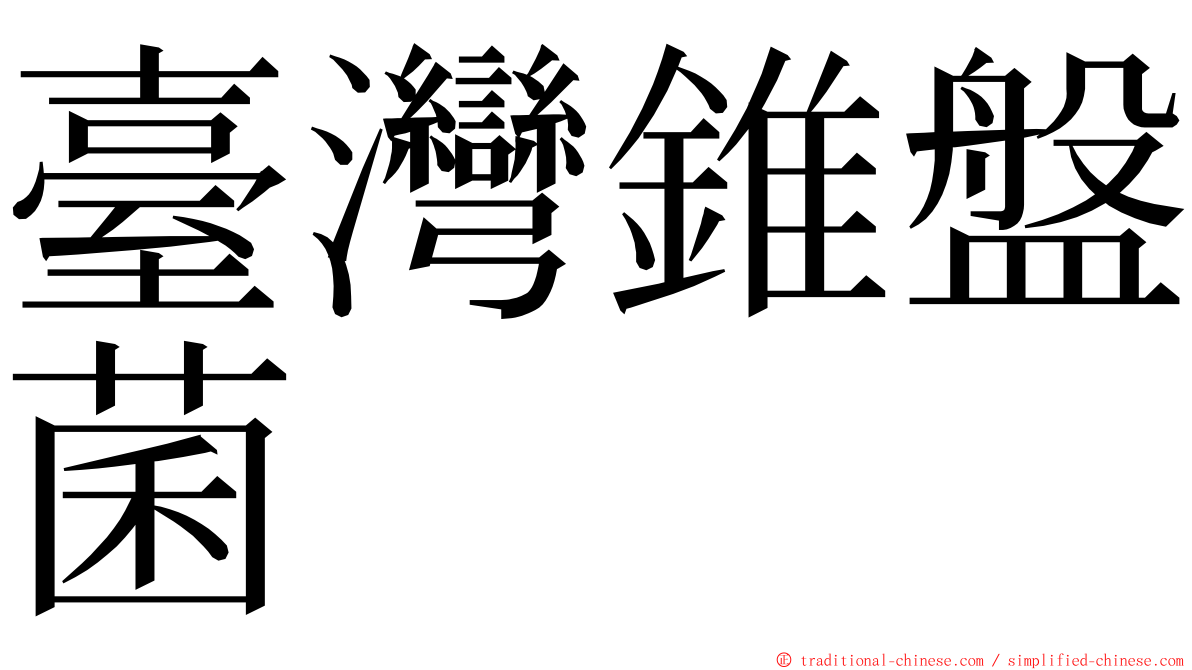 臺灣錐盤菌 ming font