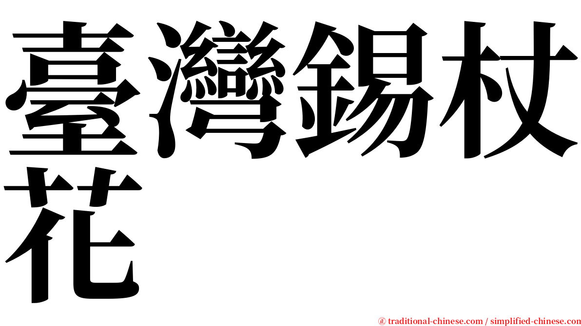 臺灣錫杖花 serif font