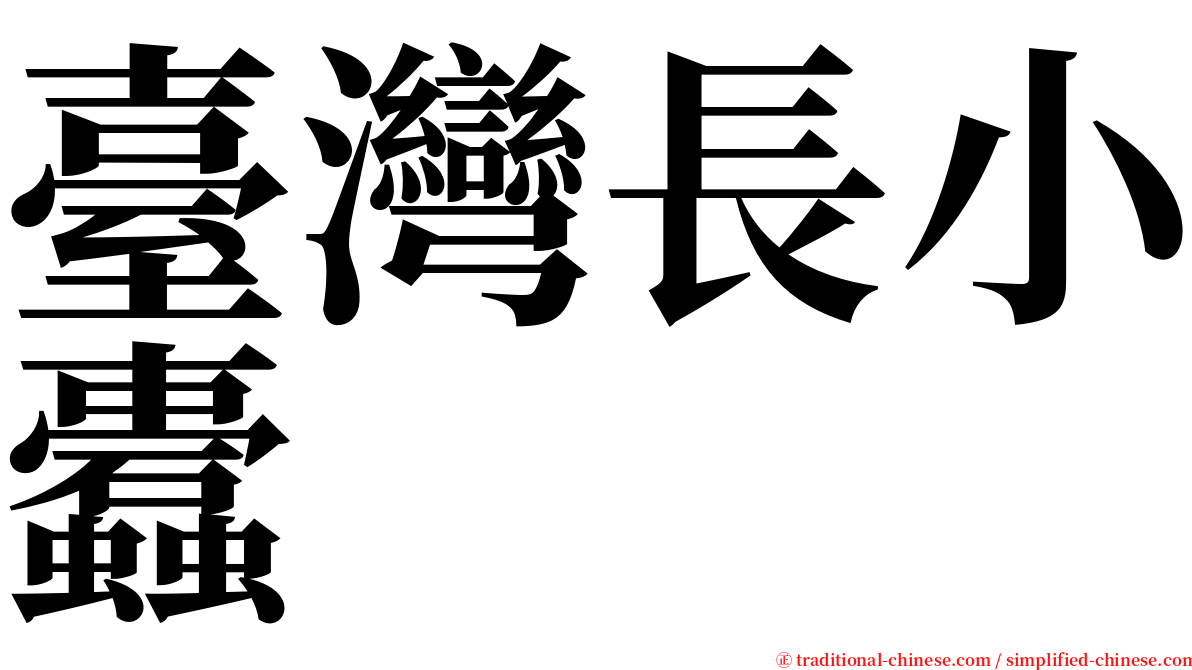 臺灣長小蠹 serif font