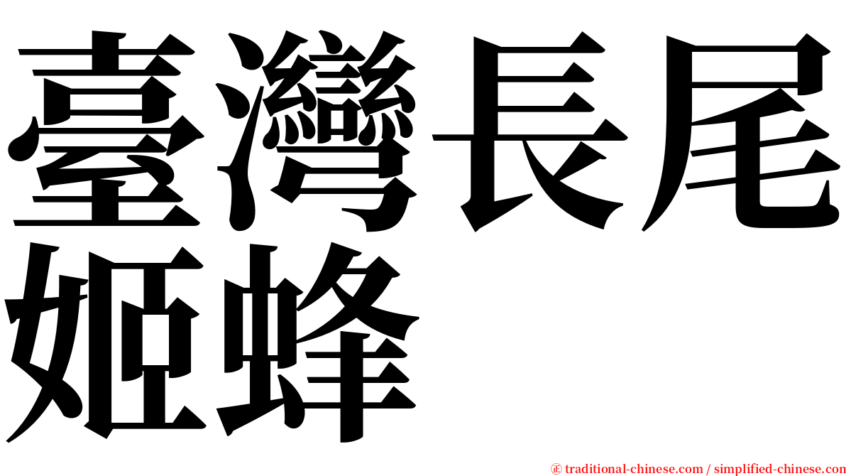 臺灣長尾姬蜂 serif font