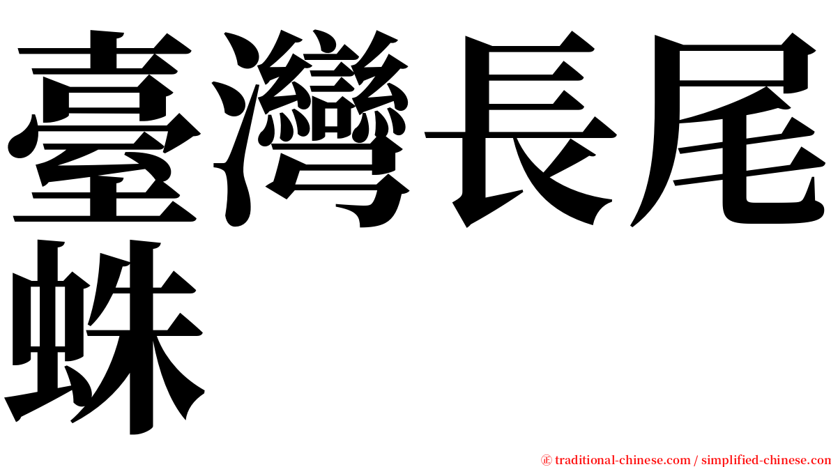 臺灣長尾蛛 serif font