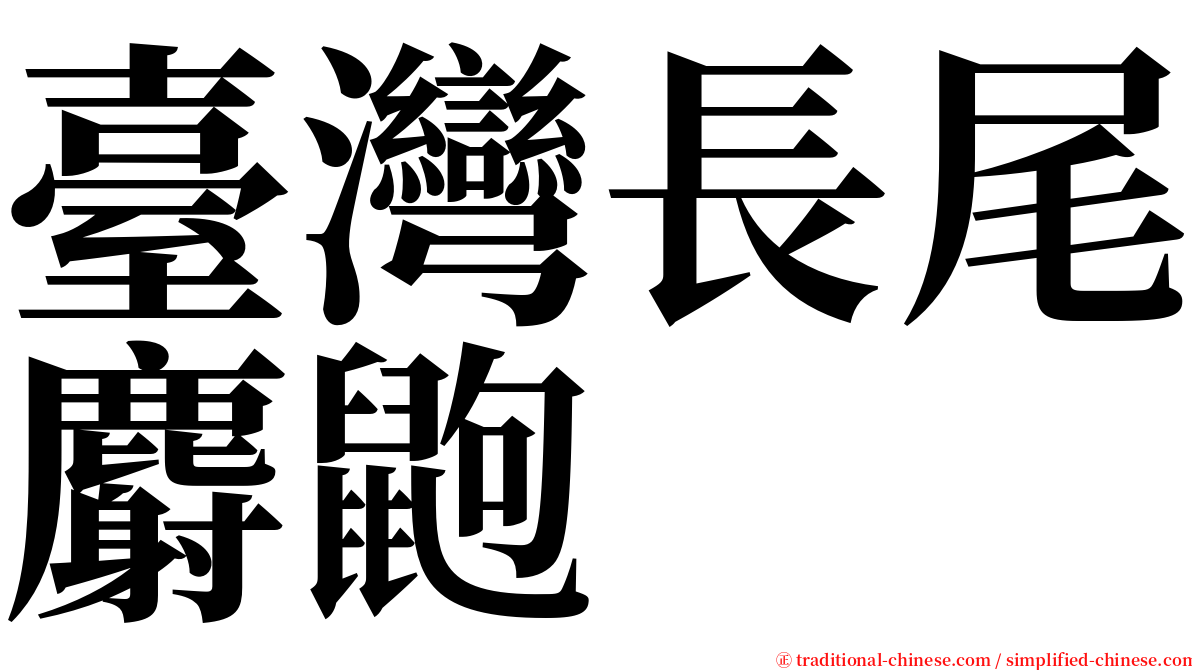 臺灣長尾麝鼩 serif font