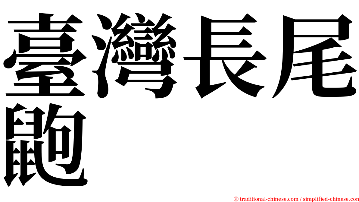 臺灣長尾鼩 serif font