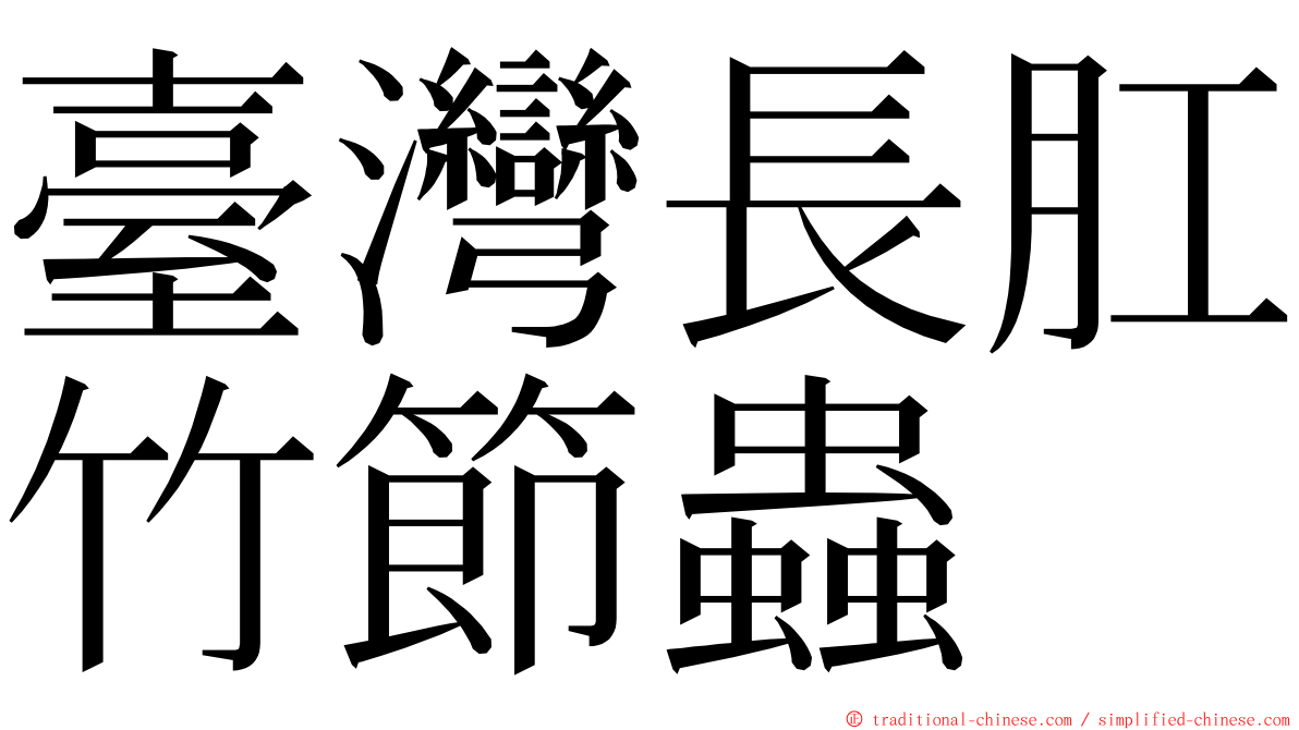 臺灣長肛竹節蟲 ming font